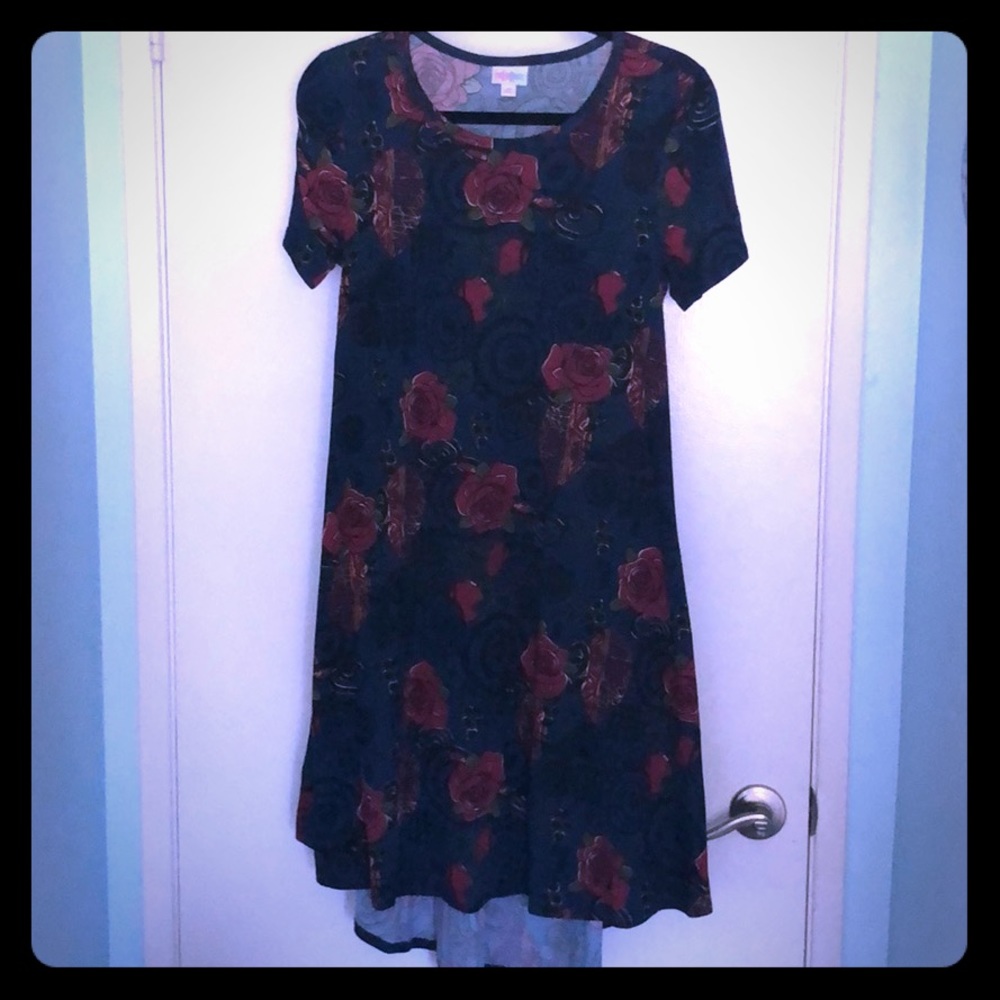 XS LuLaRoe Carly Roses Dress
